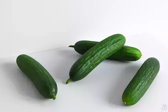 Cucumber 3D model