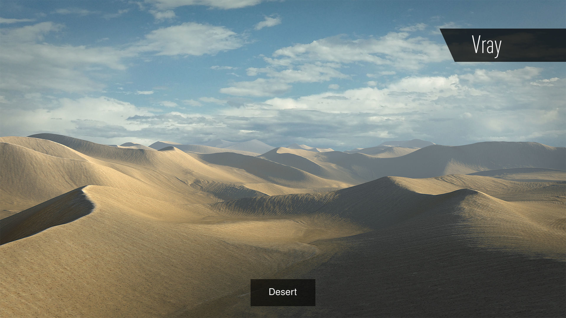 Desert Pack 3D Model Collection_1