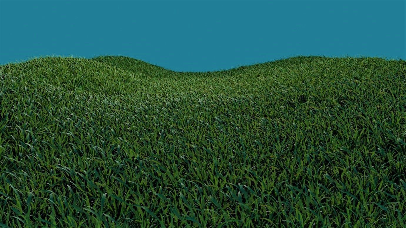 Simple Blender Grass 3D Model Free 3D model_4