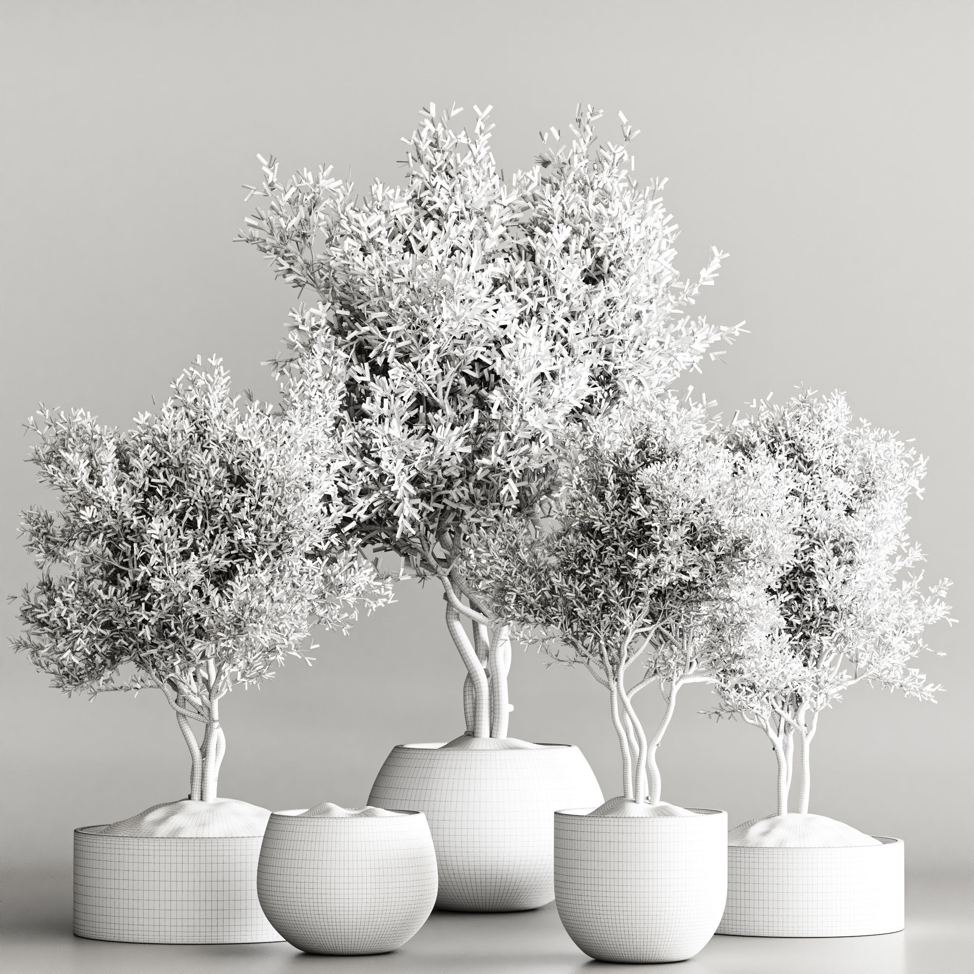 indoor plant collection 61 3D model_5