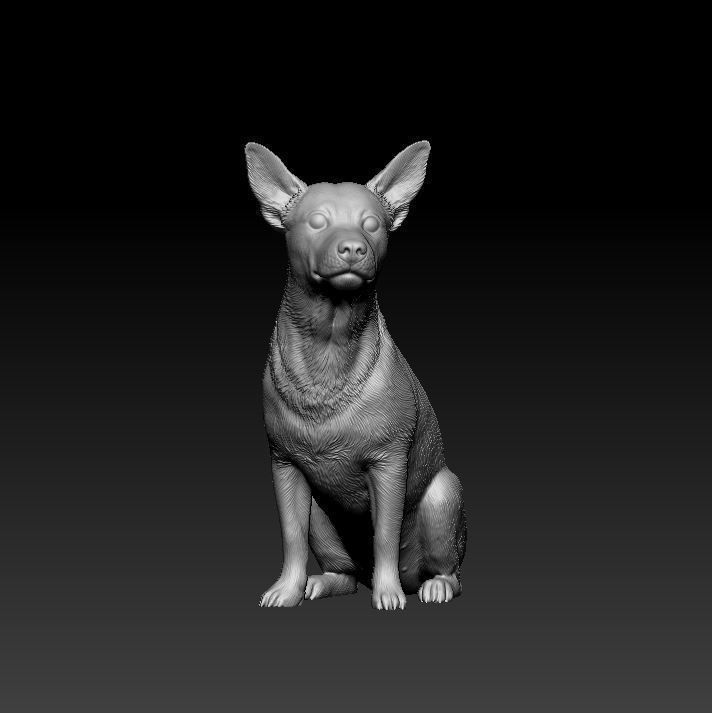 Jack Russell 3D print model_8