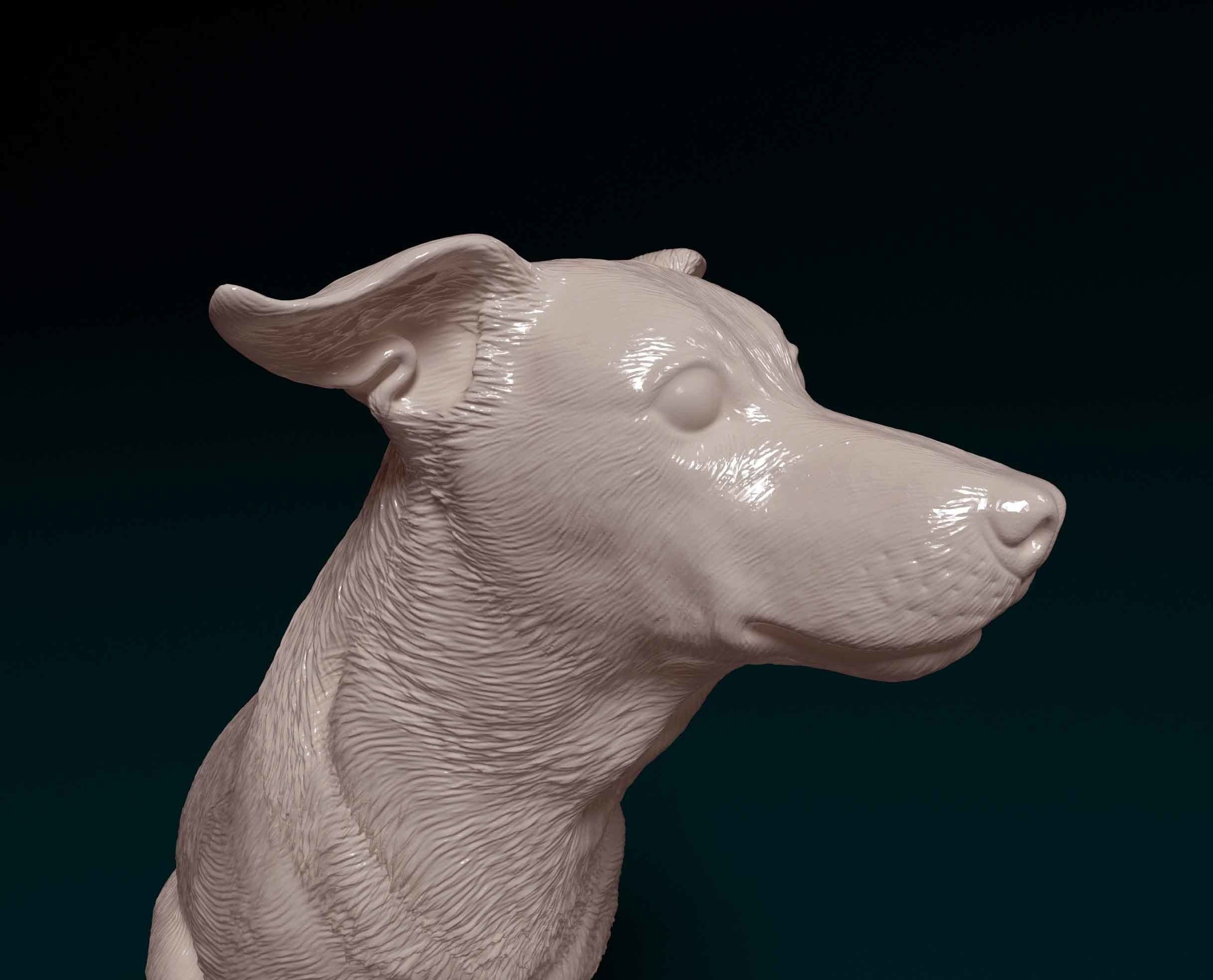 Jack Russell 3D print model_6
