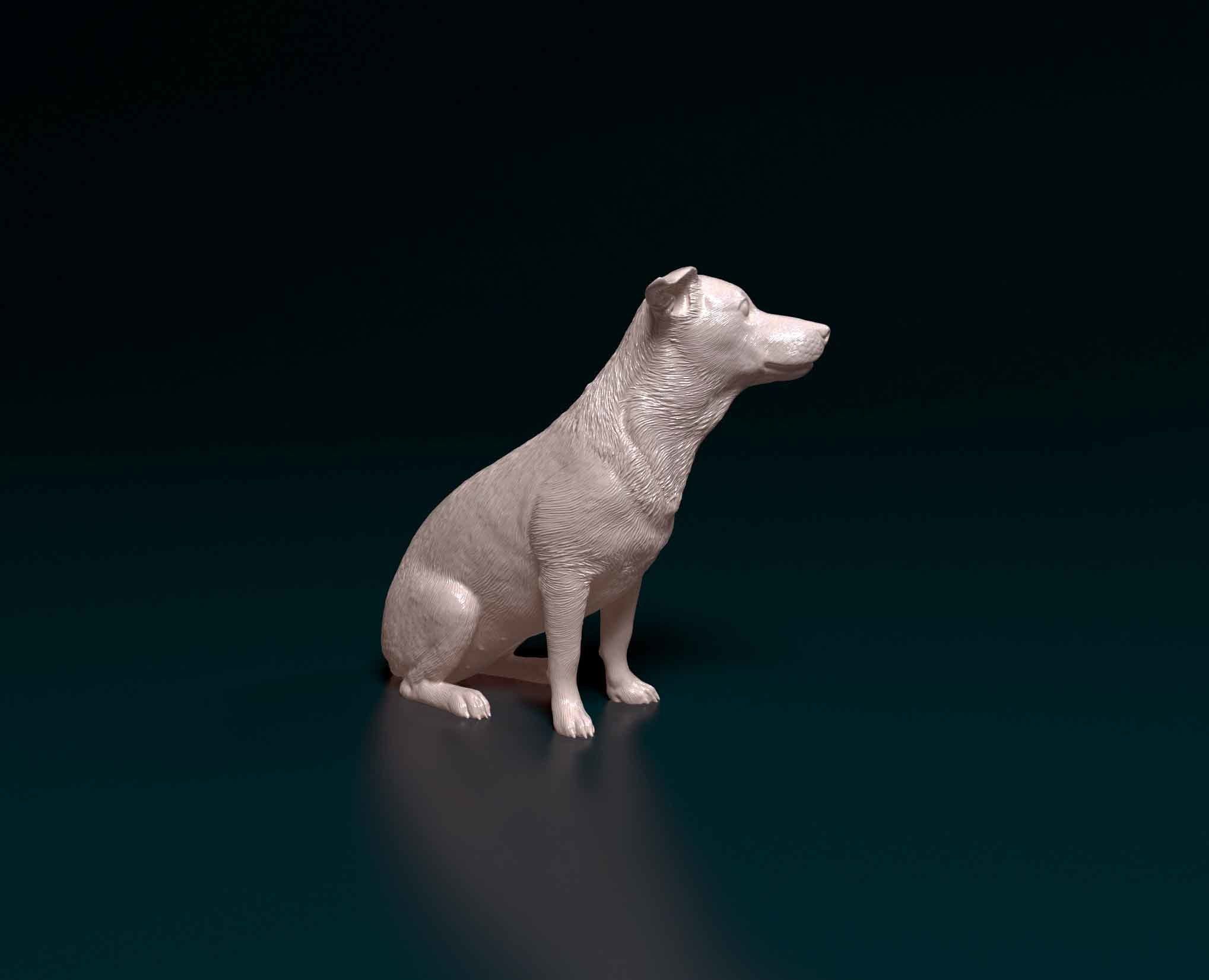 Jack Russell 3D print model_2