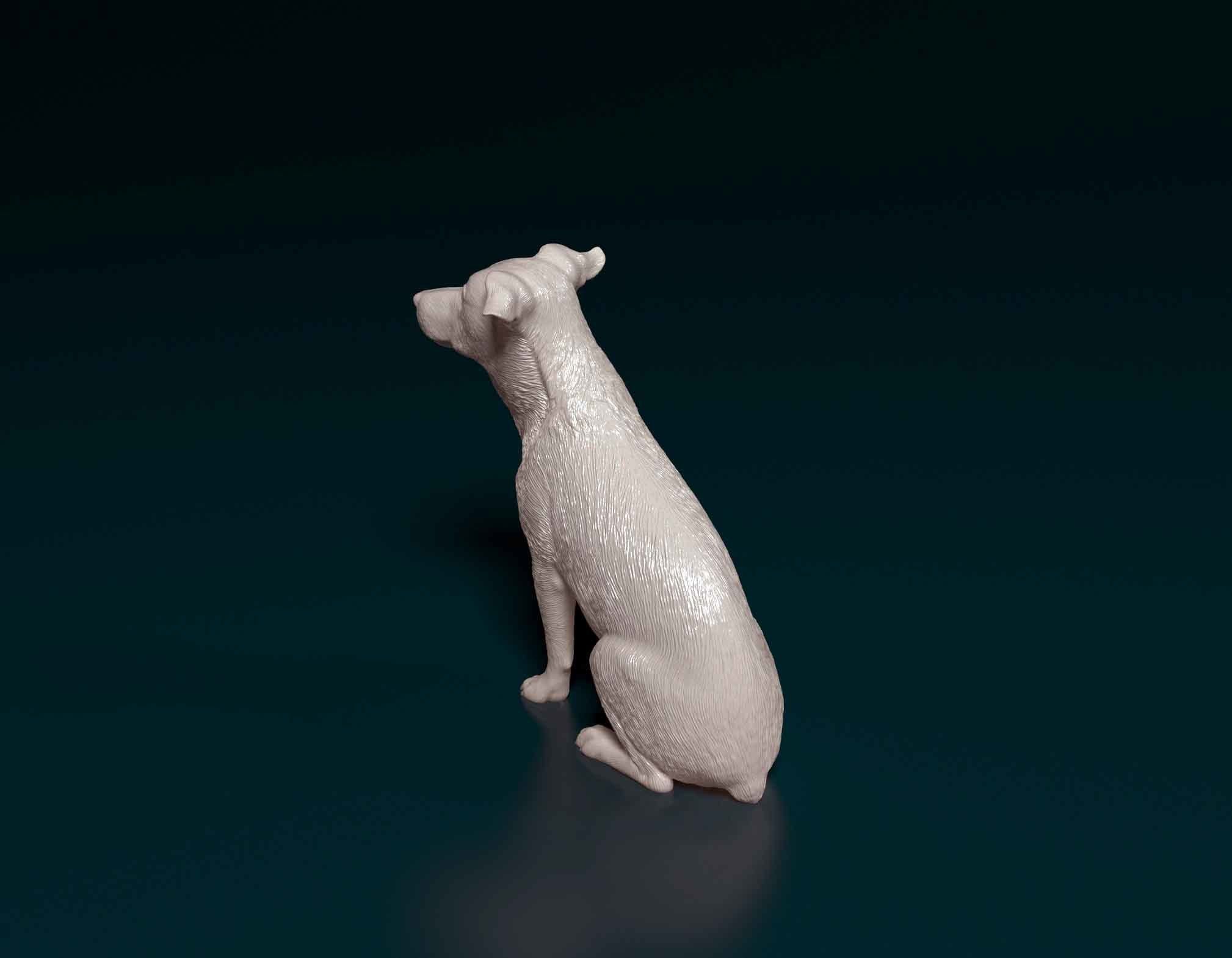 Jack Russell 3D print model_4