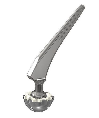Hip implant for pelvis bone 3D print model