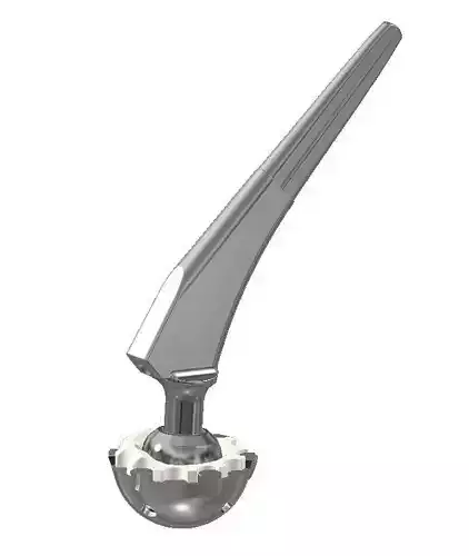 Hip implant for pelvis bone 3D print model