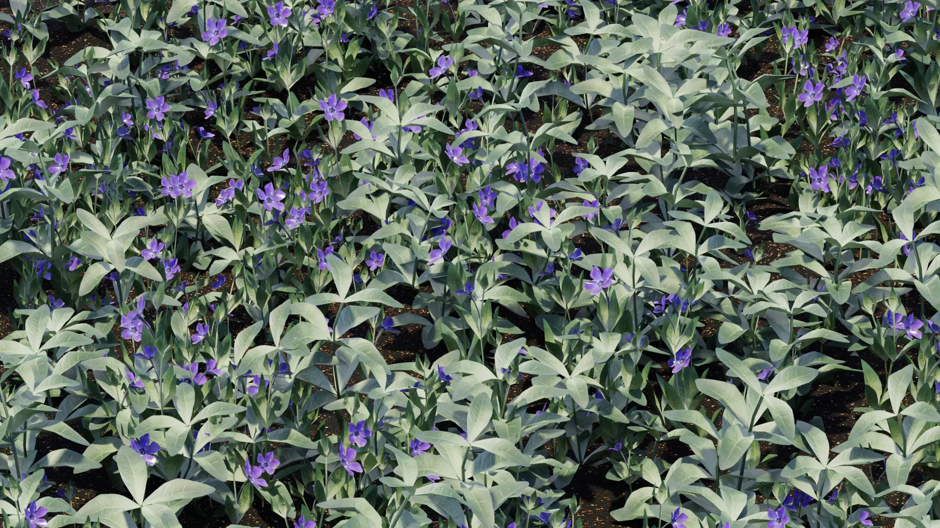 Vinca minor grass Low-poly 3D model_0