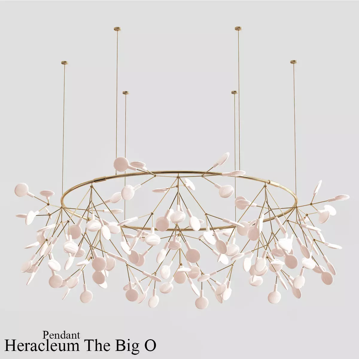 Heracleum The Big O 3D model_0