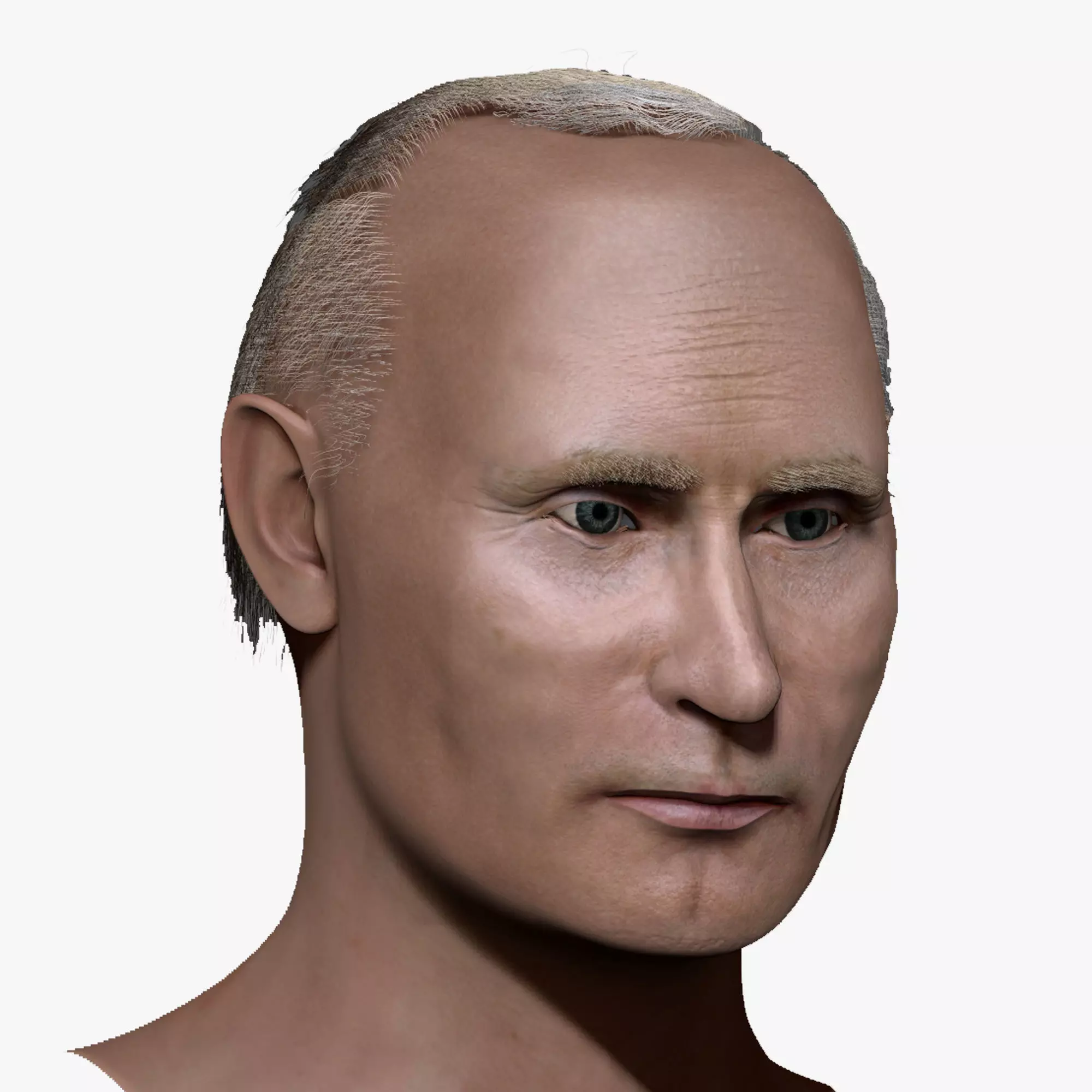 Vladimir Putin zbrush 3D Character design 3D model 3D model_0