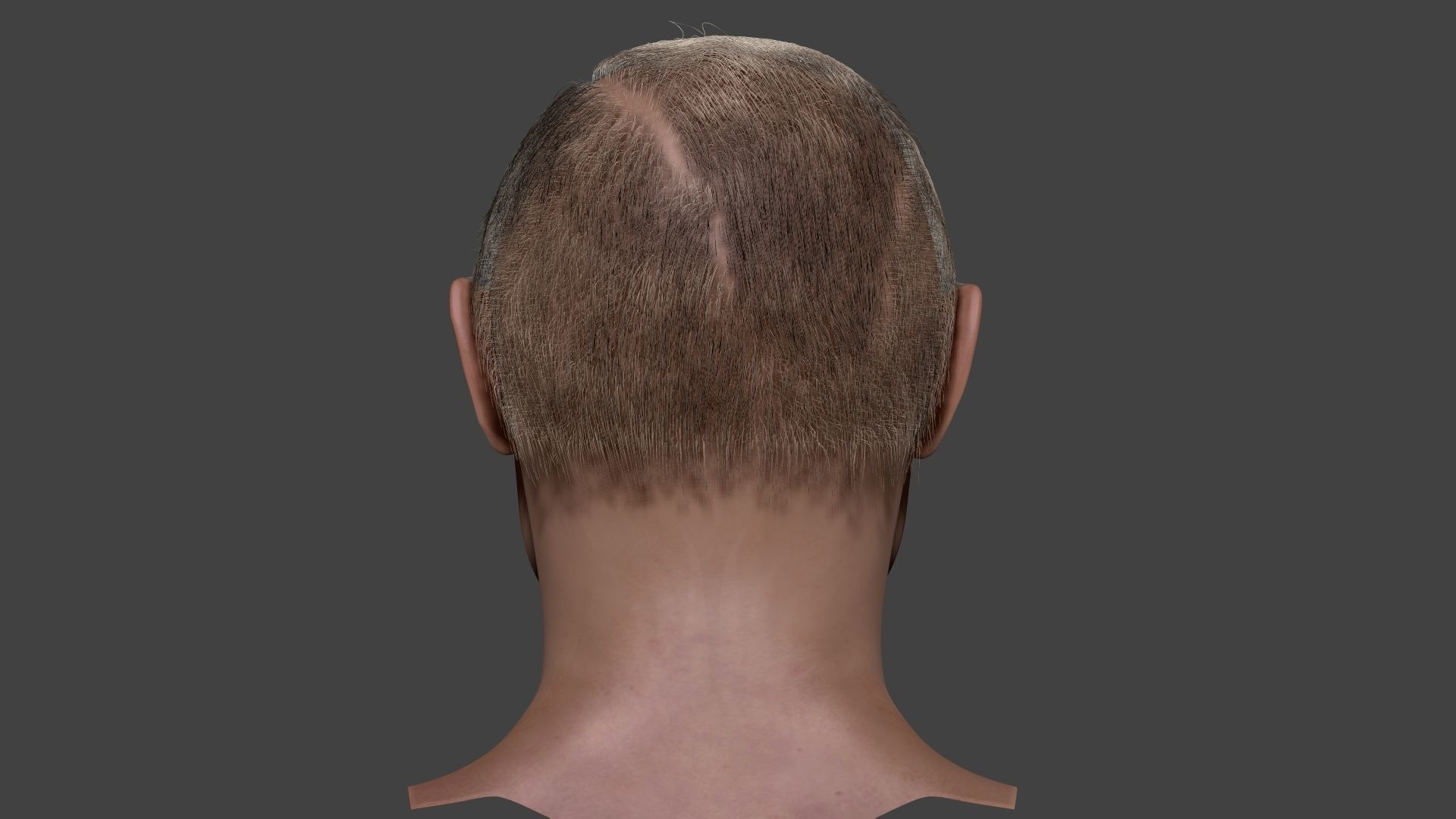 Vladimir Putin zbrush 3D Character design 3D model 3D model_6