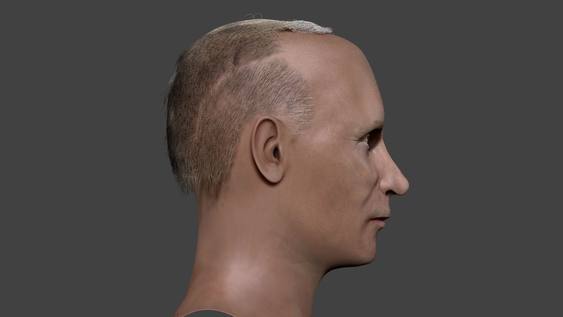 Vladimir Putin zbrush 3D Character design 3D model 3D model_7