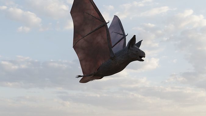 Vampire Bat 3D model
