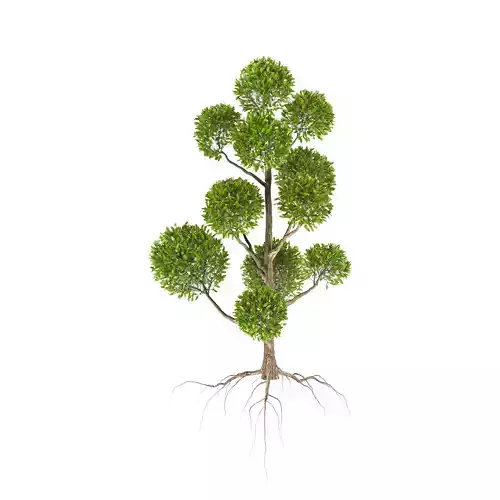 tree-01 tree 3D model