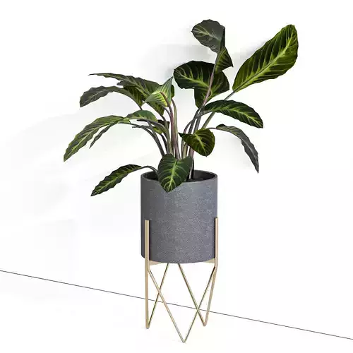 Houseplant 79 wall version