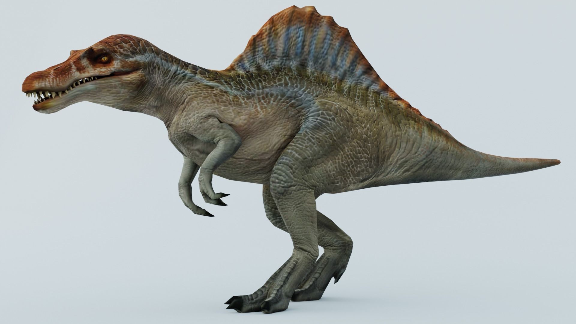Spinosaurus dinosaur 3D model_1