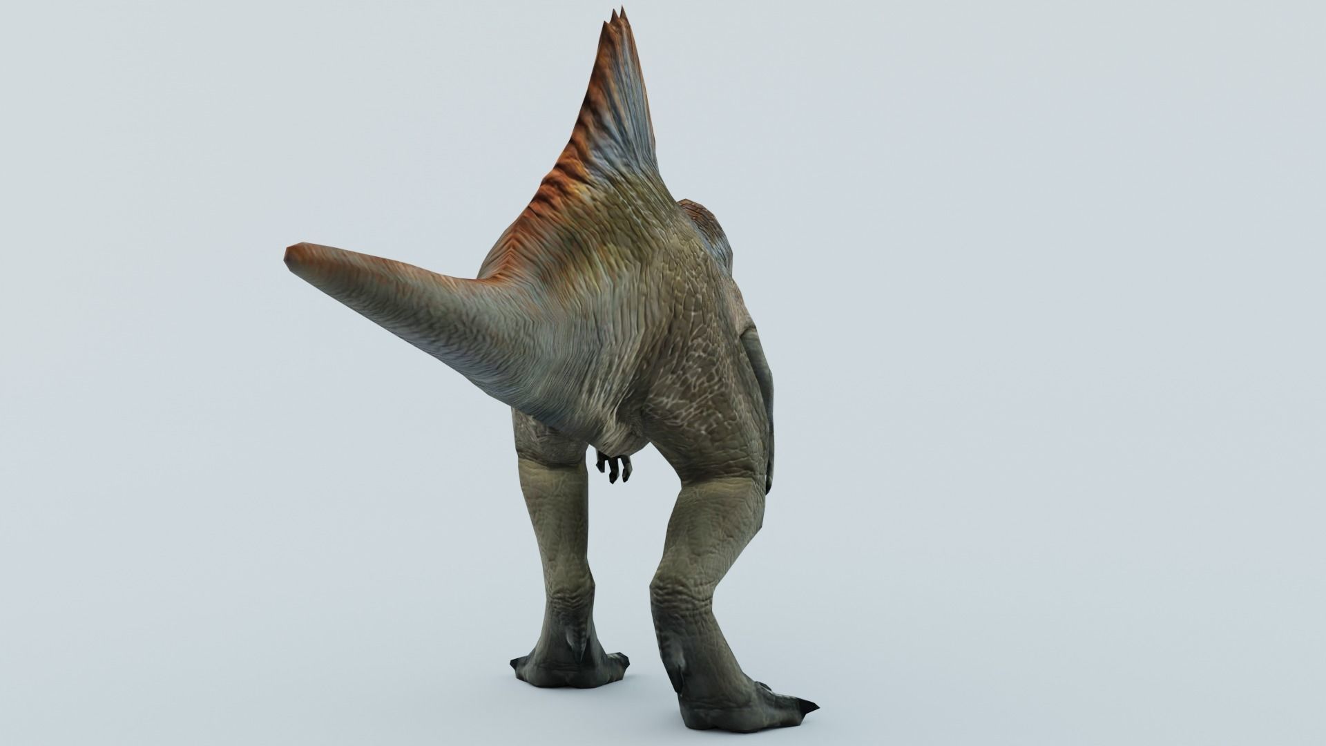 Spinosaurus dinosaur 3D model_3