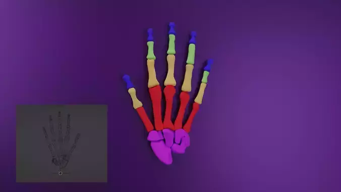 Skeleton Hand Subdiv modifier available 