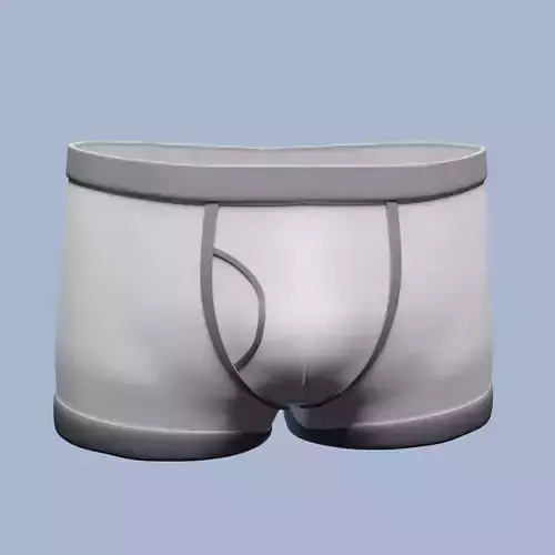 boxers underwear model