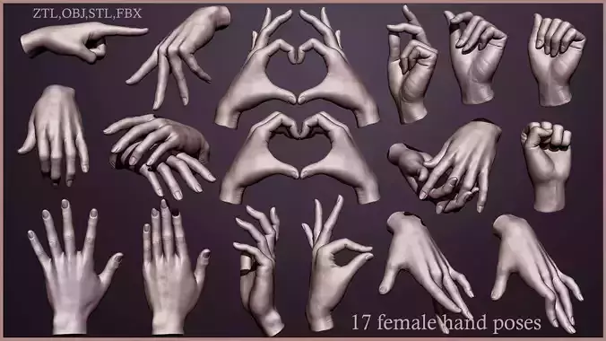 17 Female hand poses 3D model