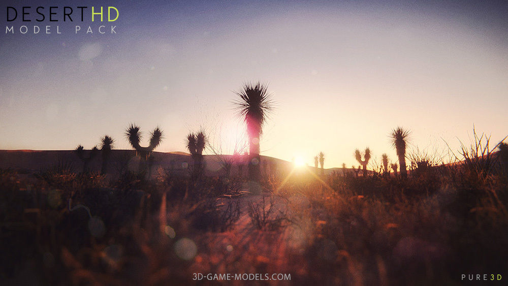 20 Desert Game-Models Low-poly 3D model_2