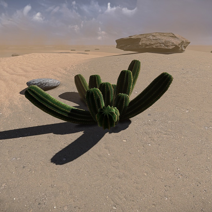 20 Desert Game-Models Low-poly 3D model_5