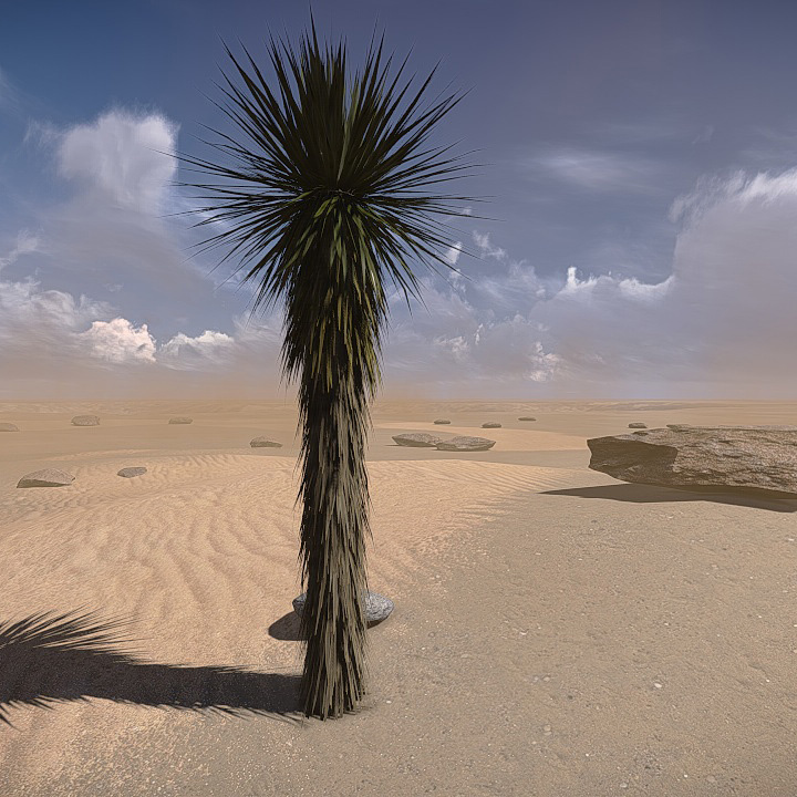 20 Desert Game-Models Low-poly 3D model_20