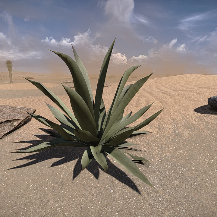 20 Desert Game-Models Low-poly 3D model_16