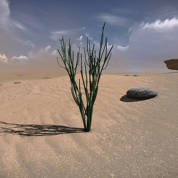 20 Desert Game-Models Low-poly 3D model_15