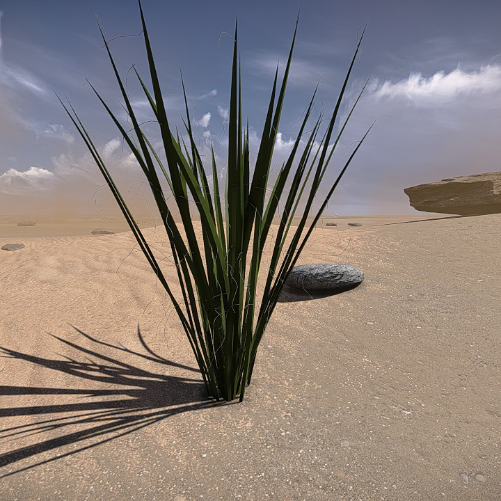 20 Desert Game-Models Low-poly 3D model_17