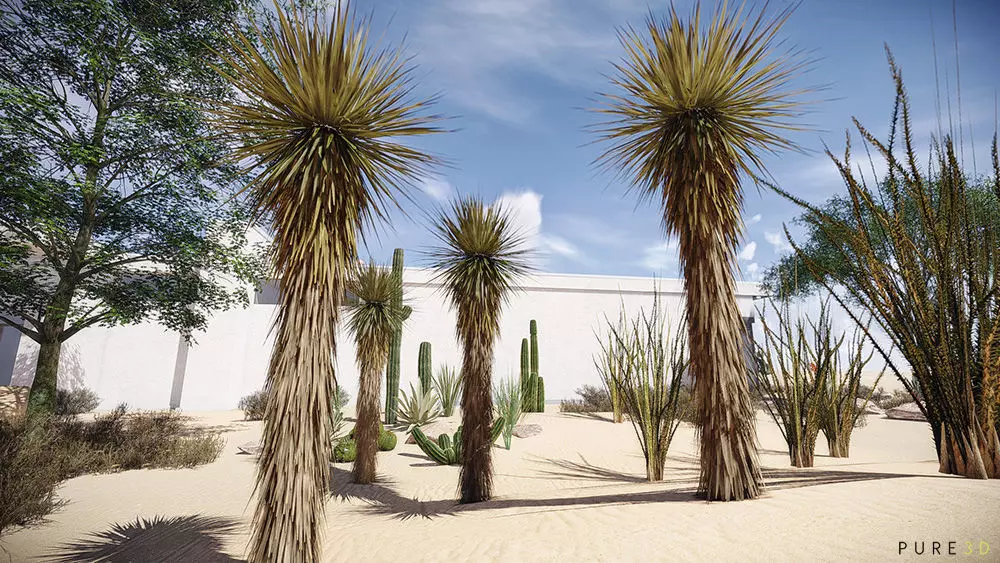 20 Desert Game-Models Low-poly 3D model_0