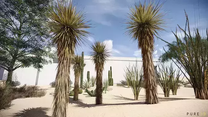 20 Desert Game-Models Low-poly 3D model