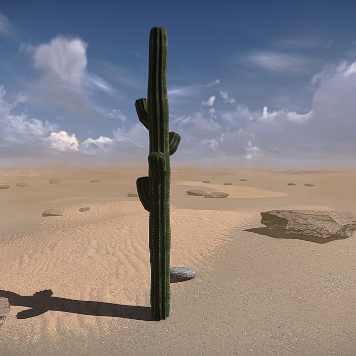 20 Desert Game-Models Low-poly 3D model_10