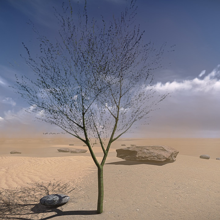 20 Desert Game-Models Low-poly 3D model_11