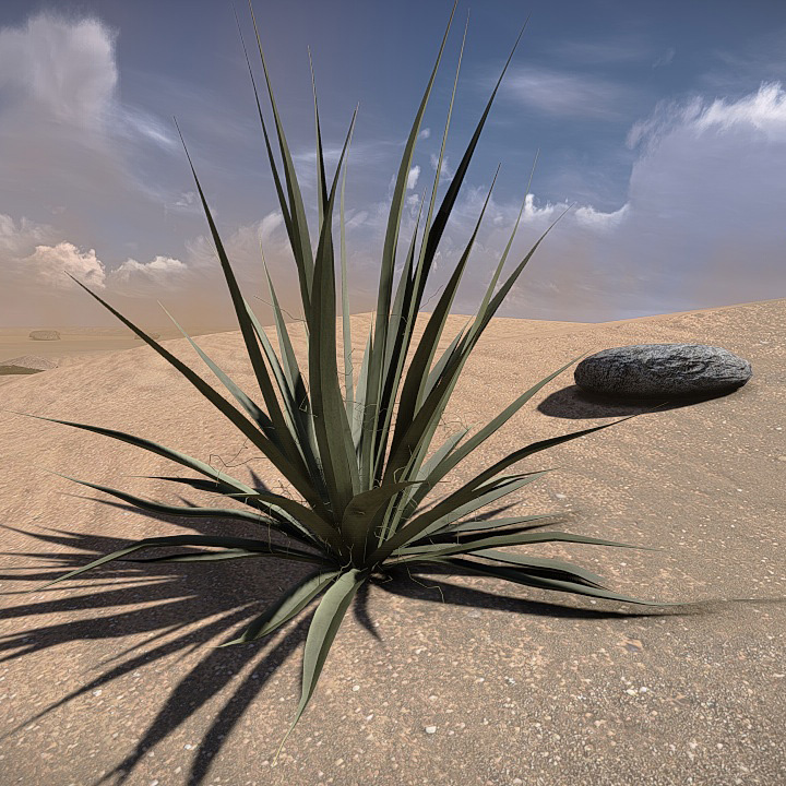 20 Desert Game-Models Low-poly 3D model_18