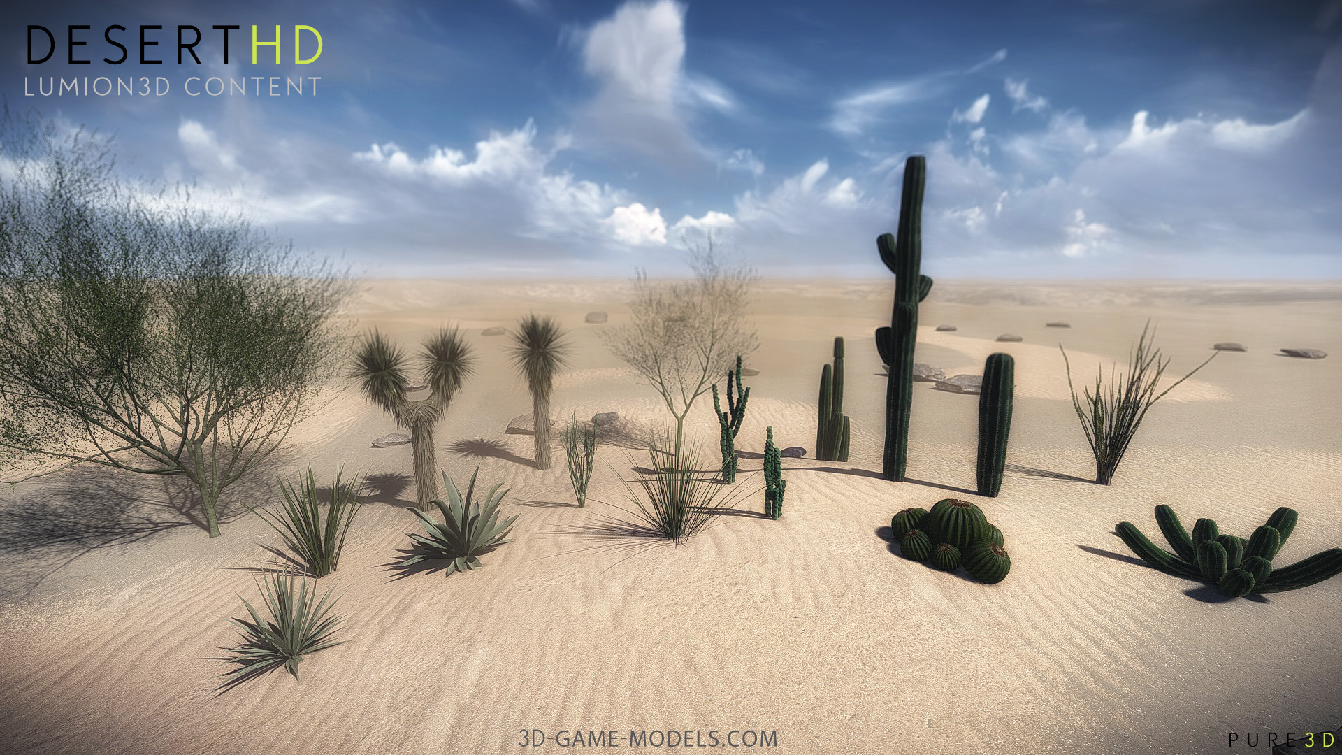 20 Desert Game-Models Low-poly 3D model_3