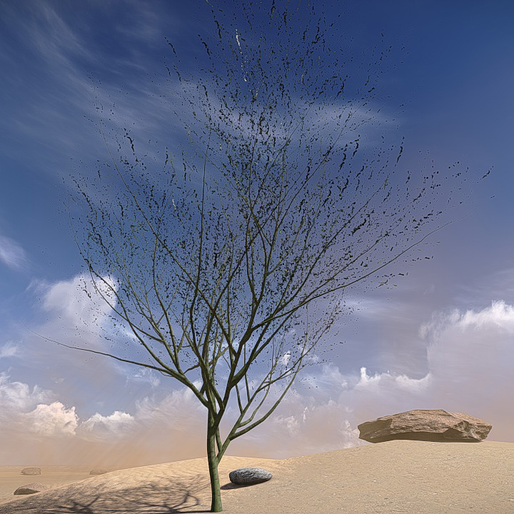 20 Desert Game-Models Low-poly 3D model_19