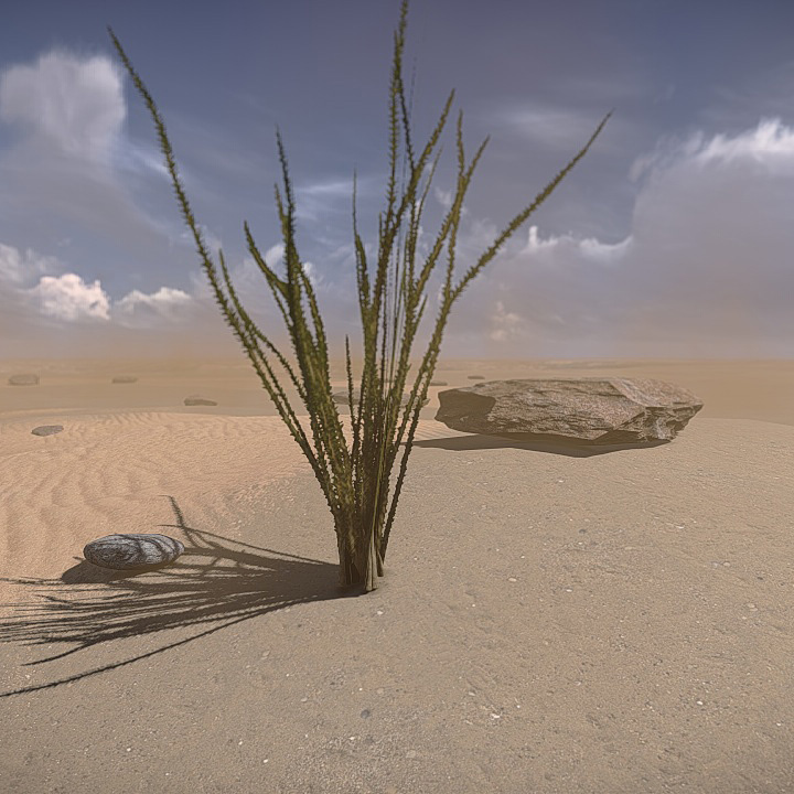 20 Desert Game-Models Low-poly 3D model_6