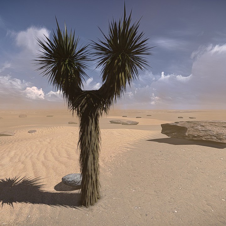 20 Desert Game-Models Low-poly 3D model_21