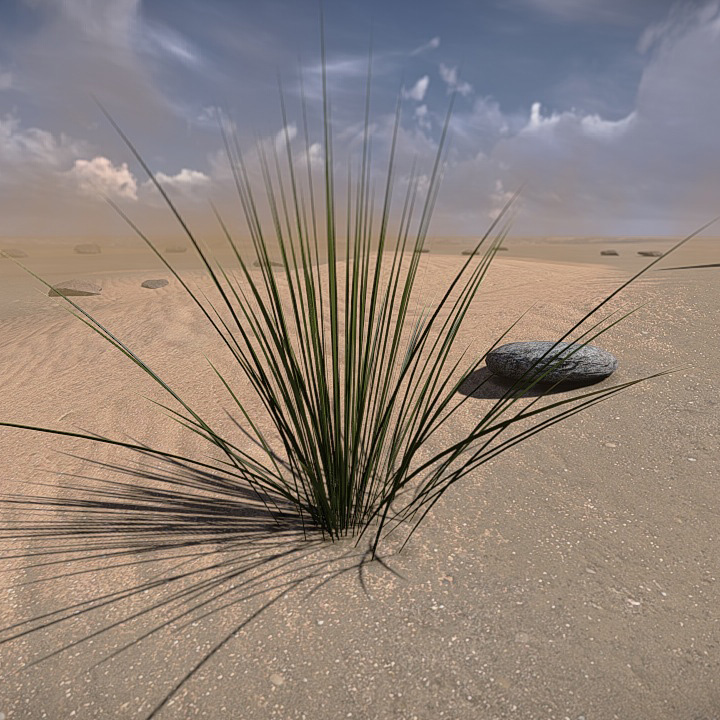 20 Desert Game-Models Low-poly 3D model_14