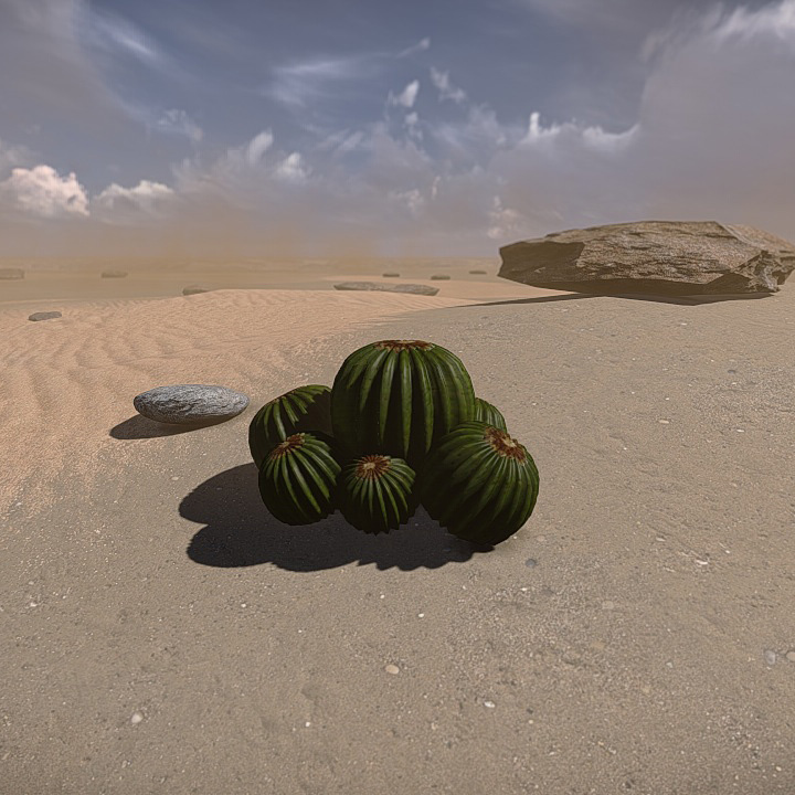 20 Desert Game-Models Low-poly 3D model_8