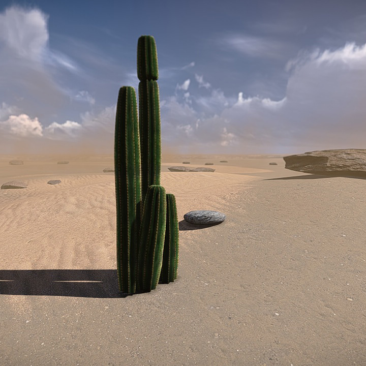 20 Desert Game-Models Low-poly 3D model_9