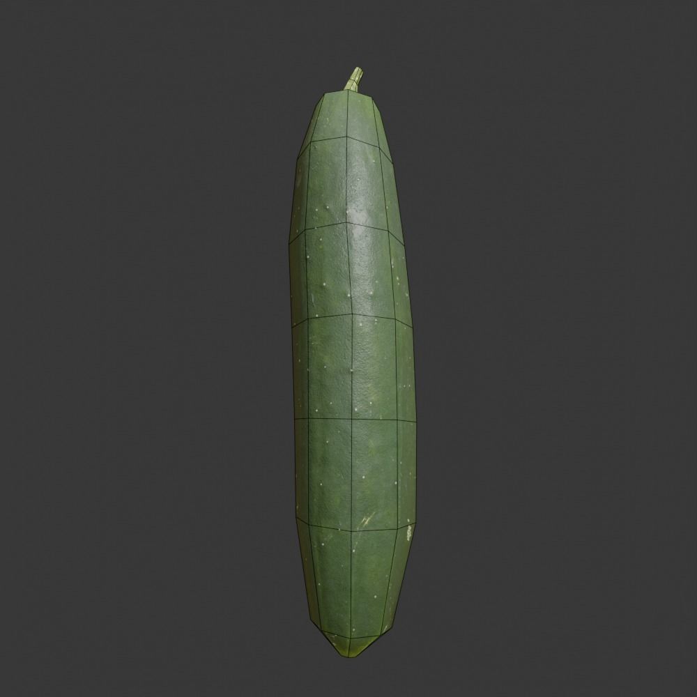 Photoscanned Cucumber Vol 1 Low-poly 3D model_39