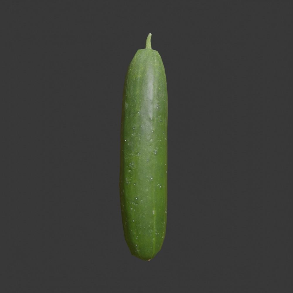Photoscanned Cucumber Vol 1 Low-poly 3D model_12