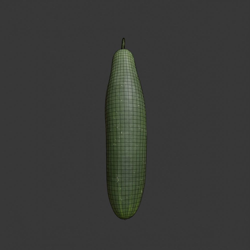 Photoscanned Cucumber Vol 1 Low-poly 3D model_34