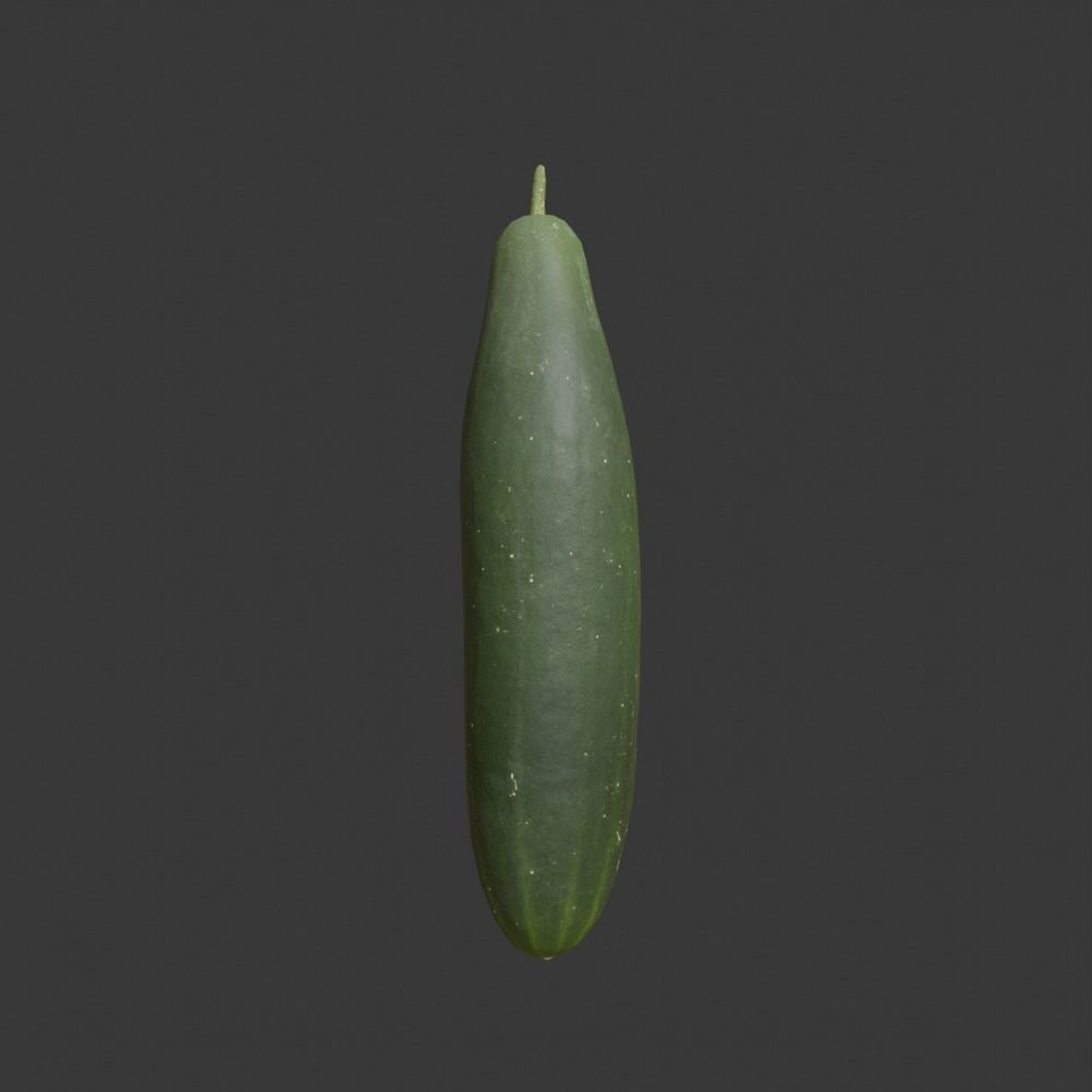 Photoscanned Cucumber Vol 1 Low-poly 3D model_5