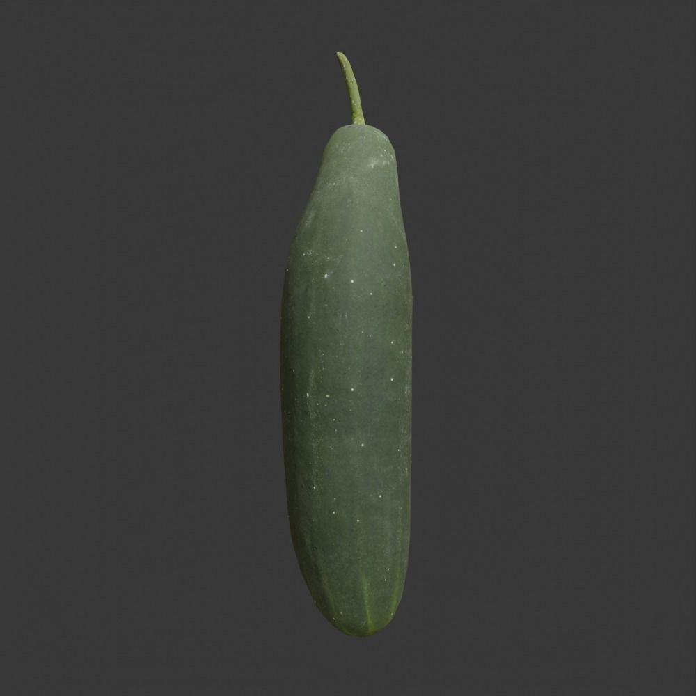 Photoscanned Cucumber Vol 1 Low-poly 3D model_2