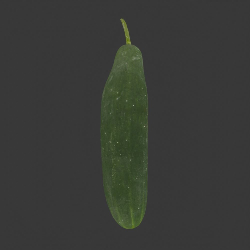 Photoscanned Cucumber Vol 1 Low-poly 3D model_16