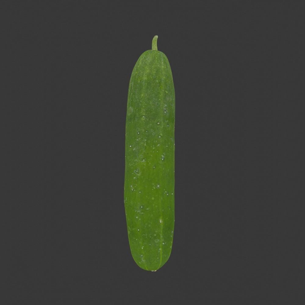 Photoscanned Cucumber Vol 1 Low-poly 3D model_19