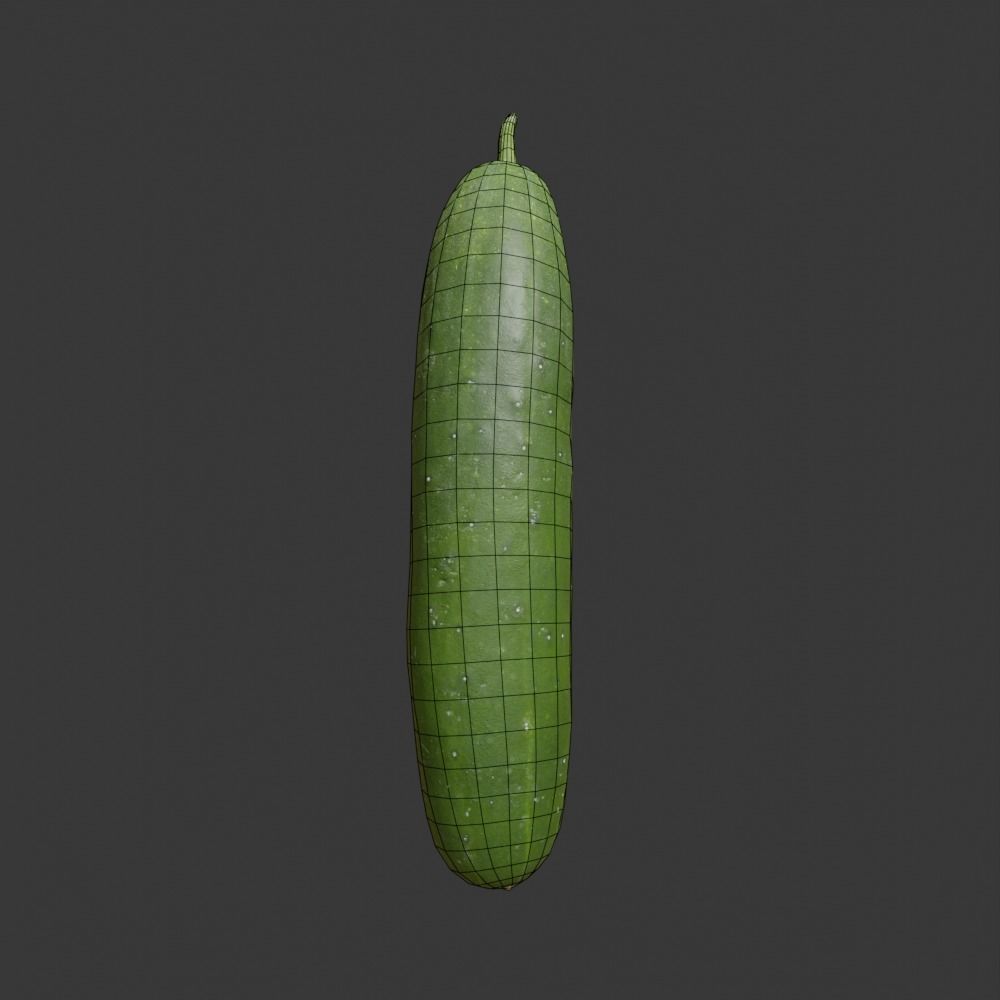 Photoscanned Cucumber Vol 1 Low-poly 3D model_41
