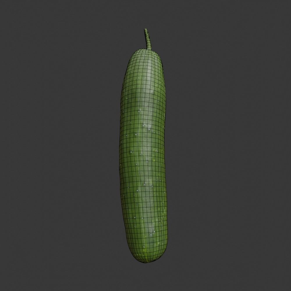 Photoscanned Cucumber Vol 1 Low-poly 3D model_43
